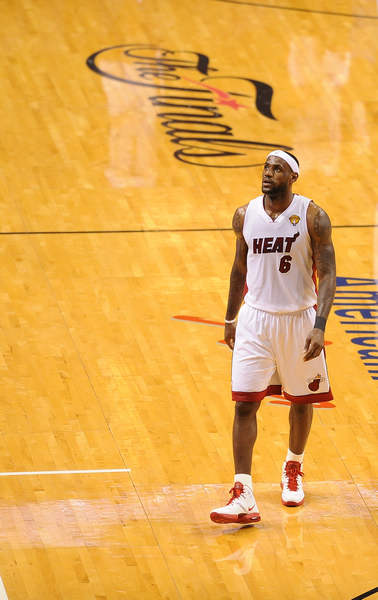 数荣誉和掌 数荣誉和掌