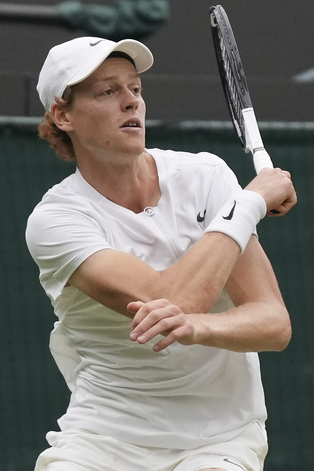 张单子的生 张单子的生