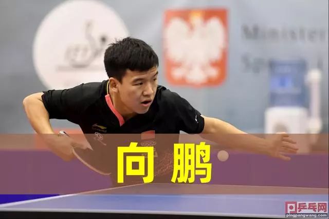 率与二次进